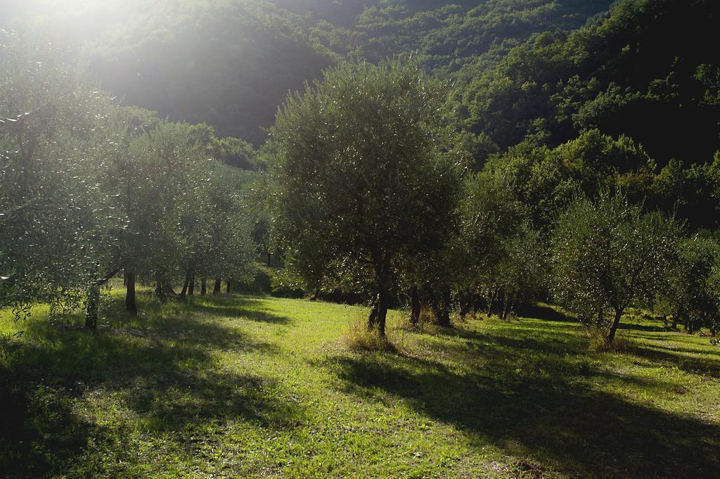 Rignano sullʼArno Country Room Il Moro מראה חיצוני תמונה