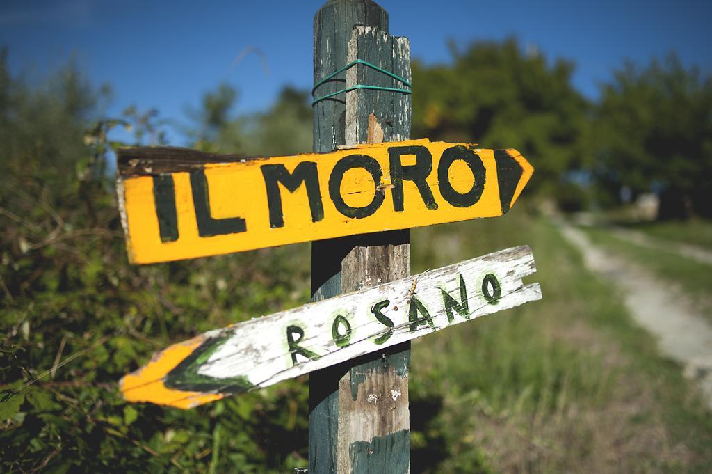 Rignano sullʼArno Country Room Il Moro מראה חיצוני תמונה